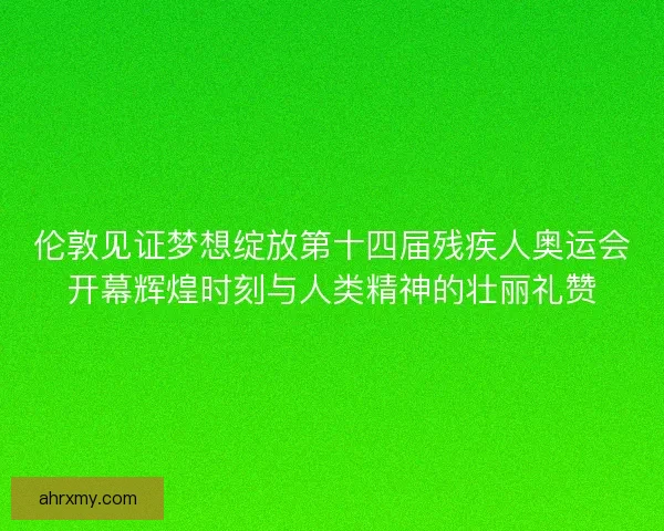 伦敦见证梦想绽放第十四届残疾人奥运会开幕辉煌时刻与人类精神的壮丽礼赞